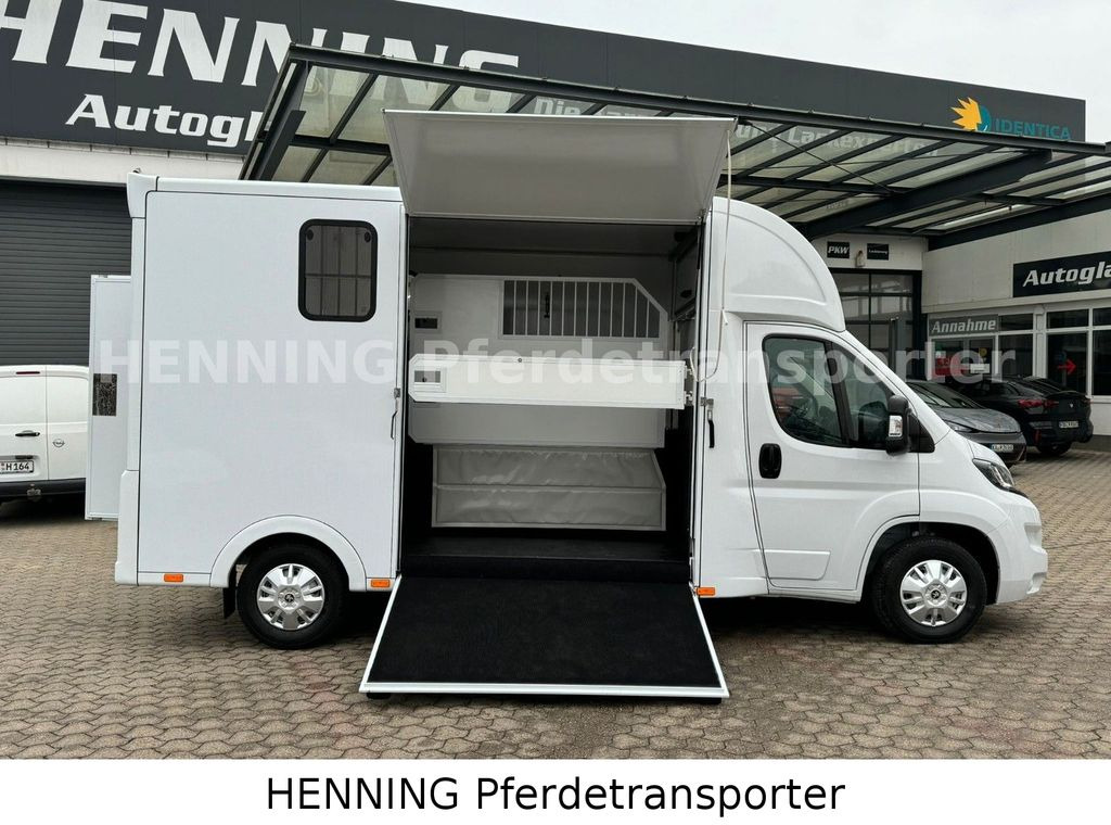 Peugeot Boxer *NEUWAGEN* ca. 1.200kg Nutzlast - משאית סוסים: תמונה 5 Peugeot Boxer *NEUWAGEN* ca. 1.200kg Nutzlast - משאית סוסים: תמונה 5