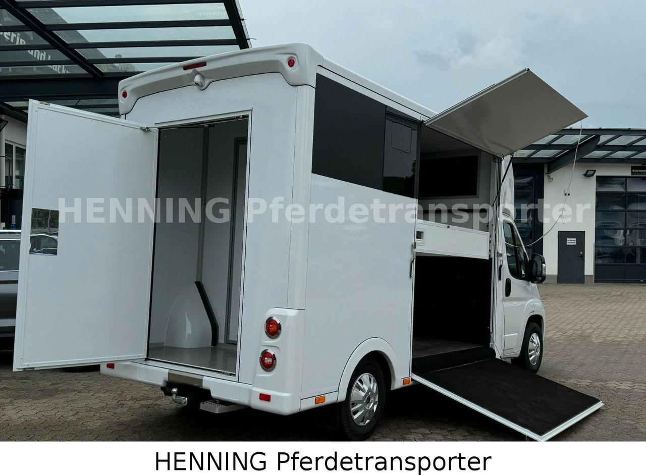 Peugeot Boxer *NEUWAGEN* ca. 1.200kg Nutzlast - משאית להובלת בעלי חיים: תמונה 4 Peugeot Boxer *NEUWAGEN* ca. 1.200kg Nutzlast - משאית להובלת בעלי חיים: תמונה 4