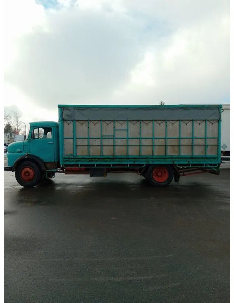 Mercedes-Benz 1113 - משאית להובלת בעלי חיים: תמונה 4 Mercedes-Benz 1113 - משאית להובלת בעלי חיים: תמונה 4
