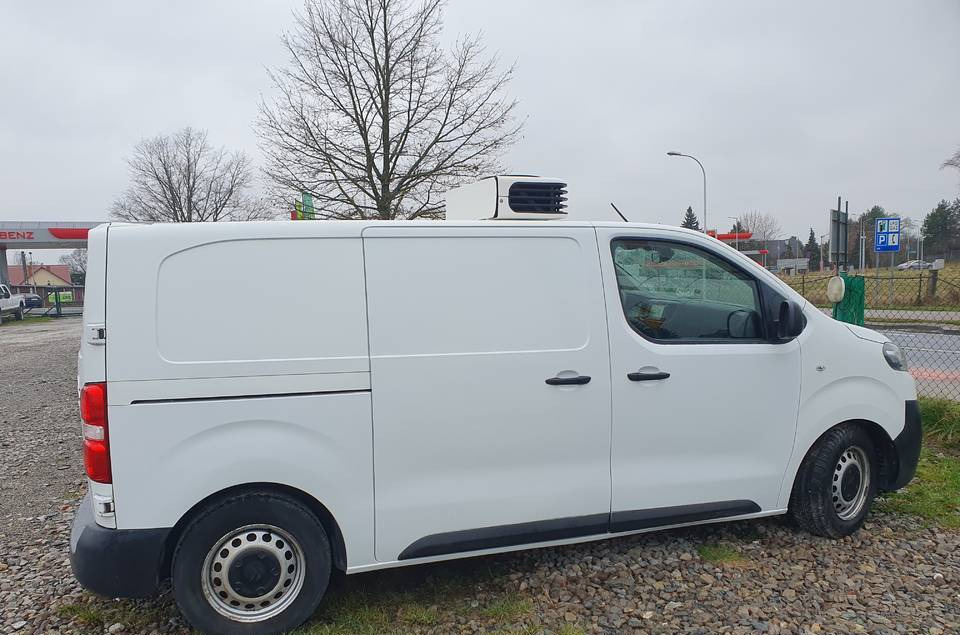 Citroen JUMPY CHLODNIA MROZNIA CARRIER+230V KLIMA EURO6 - כלי רכב מסחרי לקירור: תמונה 5 Citroen JUMPY CHLODNIA MROZNIA CARRIER+230V KLIMA EURO6 - כלי רכב מסחרי לקירור: תמונה 5
