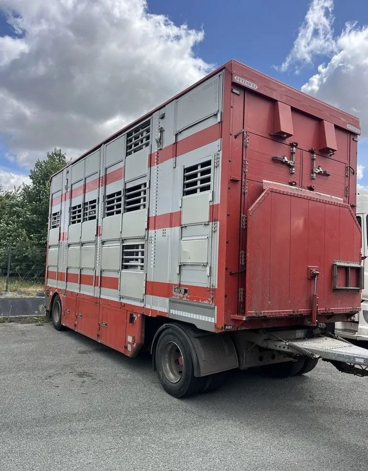 DAF XF 460 + Przyczepa Pezzaoli - 3X Trzoda, 2 X Bydło I 3 poziomy I Podnoszony dach I Hydroburta I Osie Skrętne I Poidła I Wentylatory I Pilot Manualny | Euro5 - משאית להובלת בעלי חיים: תמונה 3 DAF XF 460 + Przyczepa Pezzaoli - 3X Trzoda, 2 X Bydło I 3 poziomy I Podnoszony dach I Hydroburta I Osie Skrętne I Poidła I Wentylatory I Pilot Manualny | Euro5 - משאית להובלת בעלי חיים: תמונה 3