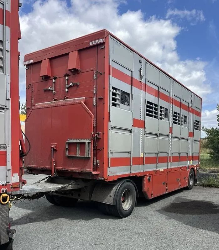 DAF XF 460 + Przyczepa Pezzaoli - 3X Trzoda, 2 X Bydło I 3 poziomy I Podnoszony dach I Hydroburta I Osie Skrętne I Poidła I Wentylatory I Pilot Manualny | Euro5 - משאית להובלת בעלי חיים: תמונה 4 DAF XF 460 + Przyczepa Pezzaoli - 3X Trzoda, 2 X Bydło I 3 poziomy I Podnoszony dach I Hydroburta I Osie Skrętne I Poidła I Wentylatory I Pilot Manualny | Euro5 - משאית להובלת בעלי חיים: תמונה 4