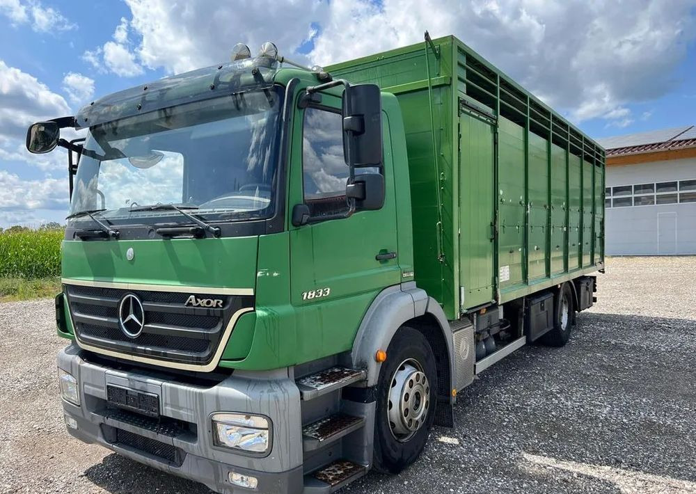 Mercedes-Benz Axor 1833 6x2 | Samochód do transportu bydła | 2009 | 450 000 km - משאית להובלת בעלי חיים: תמונה 1 Mercedes-Benz Axor 1833 6x2 | Samochód do transportu bydła | 2009 | 450 000 km - משאית להובלת בעלי חיים: תמונה 1