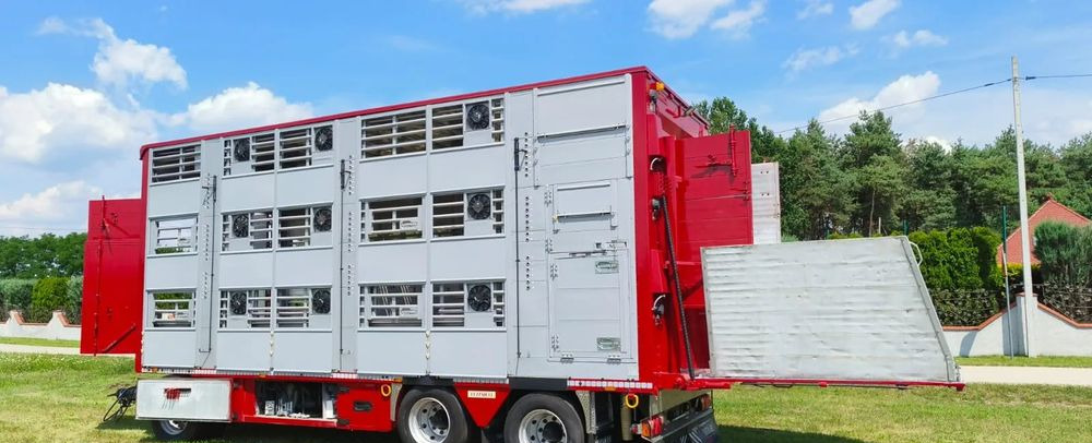 Pezzaioli RBA 32/TRZYOSIOWA PRZYCZEPA-2XBYDŁO,3X TRZODA/HYDRAULICZNIE PODNOSZONY DACH I PODŁOGI / OŚ ŚRODKOWA PODNOSZONA - קרון נגרר להובלת בעלי חיים: תמונה 2 Pezzaioli RBA 32/TRZYOSIOWA PRZYCZEPA-2XBYDŁO,3X TRZODA/HYDRAULICZNIE PODNOSZONY DACH I PODŁOGI / OŚ ŚRODKOWA PODNOSZONA - קרון נגרר להובלת בעלי חיים: תמונה 2