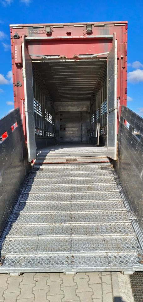 Pezzaioli SBA32/hydrauliczny dach/hydrauliczna rampa/ 3 poziomy/ 2xbydło -3xtrzoda/wentylatory/poidła/sterowanie pilotem - סמיטריילר להובלת בעלי חיים: תמונה 5 Pezzaioli SBA32/hydrauliczny dach/hydrauliczna rampa/ 3 poziomy/ 2xbydło -3xtrzoda/wentylatory/poidła/sterowanie pilotem - סמיטריילר להובלת בעלי חיים: תמונה 5
