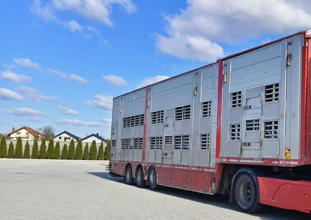 Pezzaioli SBA32/hydrauliczny dach/hydrauliczna rampa/ 3 poziomy/ 2xbydło -3xtrzoda/wentylatory/poidła/sterowanie pilotem - סמיטריילר להובלת בעלי חיים: תמונה 2 Pezzaioli SBA32/hydrauliczny dach/hydrauliczna rampa/ 3 poziomy/ 2xbydło -3xtrzoda/wentylatory/poidła/sterowanie pilotem - סמיטריילר להובלת בעלי חיים: תמונה 2