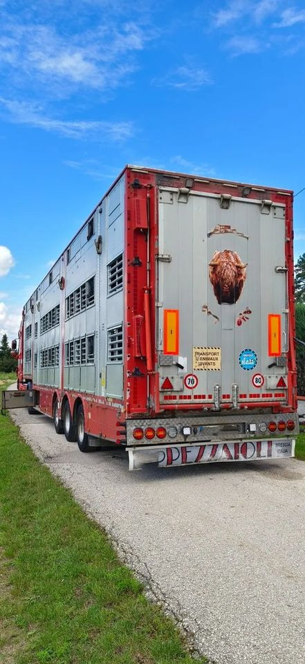 Pezzaioli SBA32/hydrauliczny dach/hydrauliczna rampa/ 3 poziomy/ 2xbydło -3xtrzoda/wentylatory/poidła/sterowanie pilotem - סמיטריילר להובלת בעלי חיים: תמונה 5 Pezzaioli SBA32/hydrauliczny dach/hydrauliczna rampa/ 3 poziomy/ 2xbydło -3xtrzoda/wentylatory/poidła/sterowanie pilotem - סמיטריילר להובלת בעלי חיים: תמונה 5