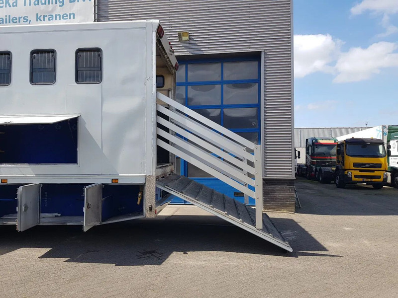 DAF 95.350 Paardenwagen met zitverblijf 7 paarden 7 horses - משאית סוסים: תמונה 5 DAF 95.350 Paardenwagen met zitverblijf 7 paarden 7 horses - משאית סוסים: תמונה 5