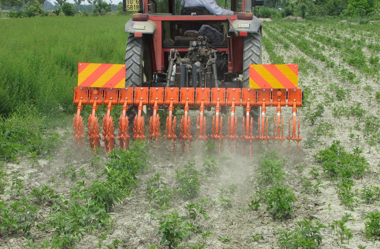 Rompicrosta a.s.r. 270 - ציוד עיבוד קרקע: תמונה 4 Rompicrosta a.s.r. 270 - ציוד עיבוד קרקע: תמונה 4