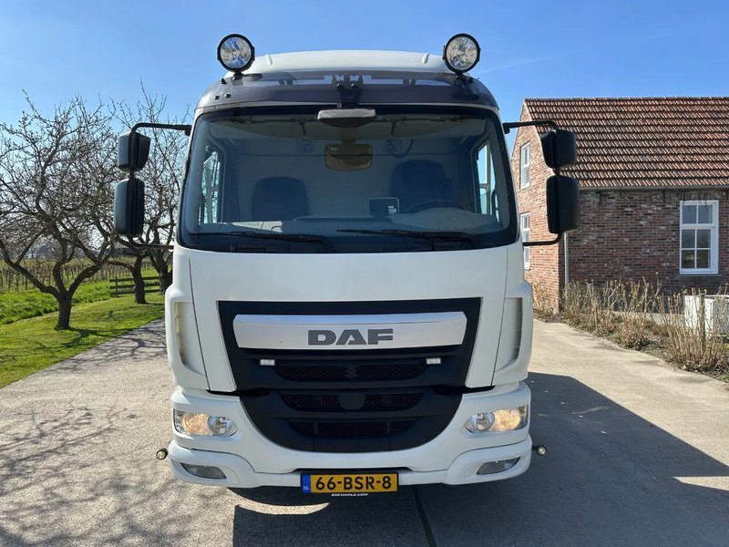 DAF LF 250 / NL TRUCK / EURO6 / LENGTE BAK 950cm / 12T - משאית הובלה אוטומטית: תמונה 2 DAF LF 250 / NL TRUCK / EURO6 / LENGTE BAK 950cm / 12T - משאית הובלה אוטומטית: תמונה 2