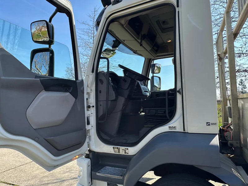 DAF LF 250 / NL TRUCK / EURO6 / LENGTE BAK 950cm / 12T - משאית הובלה אוטומטית: תמונה 5 DAF LF 250 / NL TRUCK / EURO6 / LENGTE BAK 950cm / 12T - משאית הובלה אוטומטית: תמונה 5