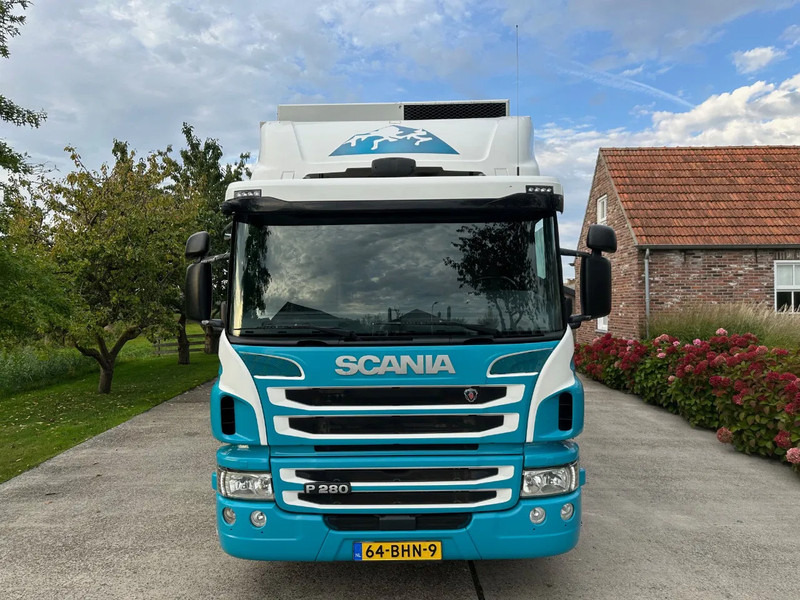 Scania P280 / NL TRUCK / FRIGOBLOCK FK 13(2019) / 2000kg LIFT / TOPCONDITION!! - משאית קירור: תמונה 3 Scania P280 / NL TRUCK / FRIGOBLOCK FK 13(2019) / 2000kg LIFT / TOPCONDITION!! - משאית קירור: תמונה 3