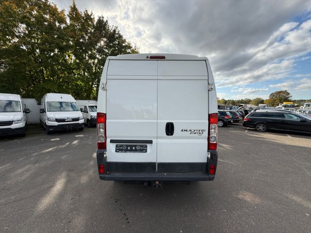 Fiat Ducato Maxi - כלי רכב מסחרי עם לוח: תמונה 5 Fiat Ducato Maxi - כלי רכב מסחרי עם לוח: תמונה 5