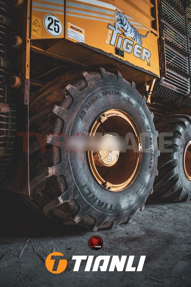 Tianli 750/65R26 (28LR26) AG RADIAL SPECIAL (AG-RS) 166A8/166B TL - צמיג עבור טרקטור חקלאי: תמונה 3 Tianli 750/65R26 (28LR26) AG RADIAL SPECIAL (AG-RS) 166A8/166B TL - צמיג עבור טרקטור חקלאי: תמונה 3