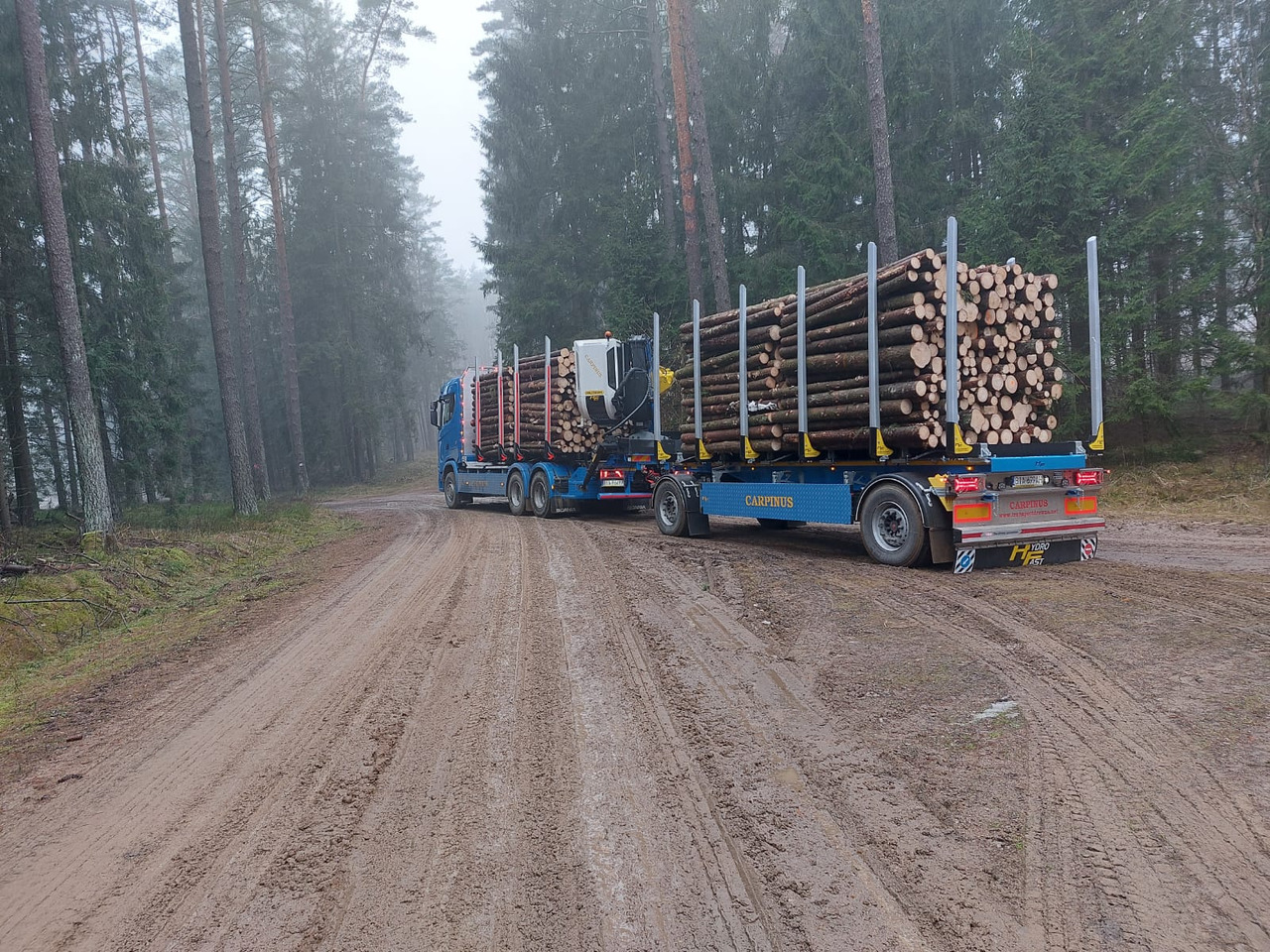 Hydrofast Przyczepa 2 osiowa do drewna stosowego HFP2/2-axle timber trailer HFP2 - קרון נגרר לעץ: תמונה 3 Hydrofast Przyczepa 2 osiowa do drewna stosowego HFP2/2-axle timber trailer HFP2 - קרון נגרר לעץ: תמונה 3