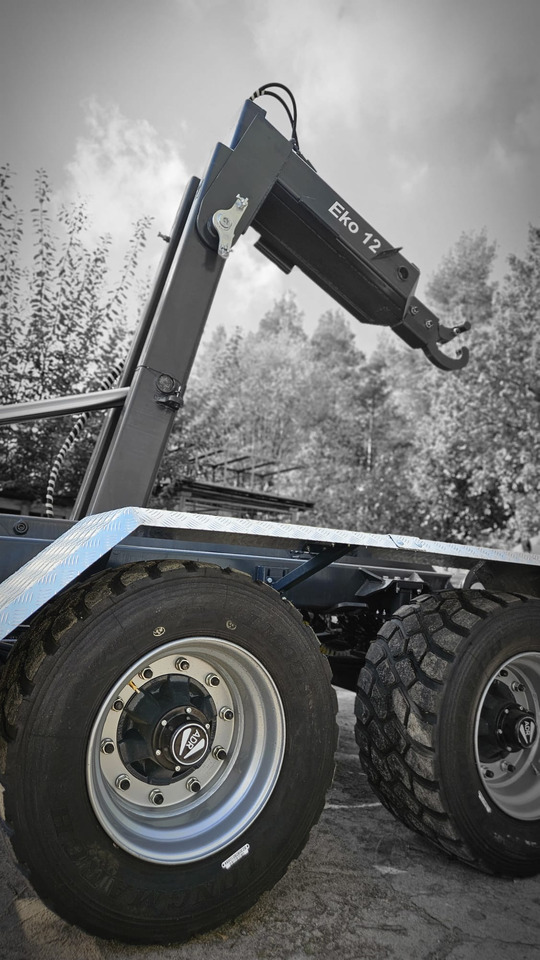EkoAgri Hakenliftanhänger / Hooklift trailer / Remorque porte caisson / Remolque con gancho / Rimorchio a gancio / Przyczepa hakowa 12 t - קרון נגרר חקלאי: תמונה 3 EkoAgri Hakenliftanhänger / Hooklift trailer / Remorque porte caisson / Remolque con gancho / Rimorchio a gancio / Przyczepa hakowa 12 t - קרון נגרר חקלאי: תמונה 3