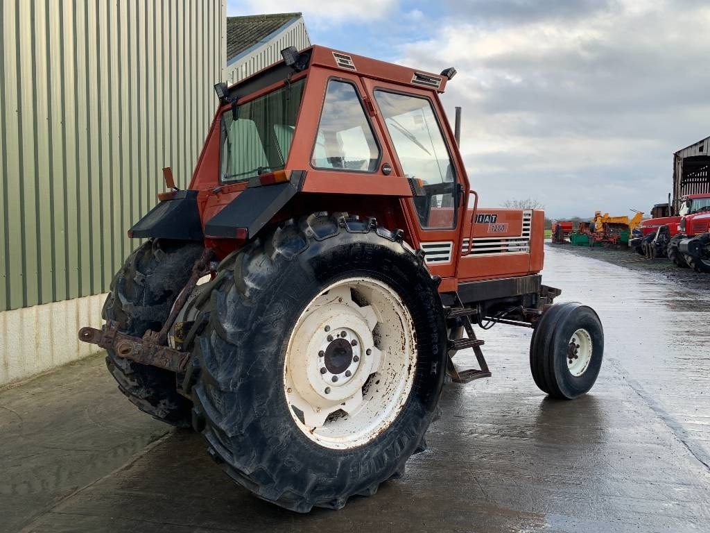 Fiat 1280 Turbo 2WD Tractor - טרקטור חקלאי: תמונה 3 Fiat 1280 Turbo 2WD Tractor - טרקטור חקלאי: תמונה 3