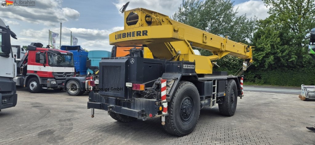 עגורן שטח מחוספס Liebherr LTL1025: תמונה 12