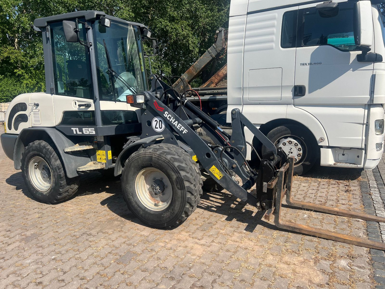 Terex TL 65 - מעמיס גלגלים: תמונה 1 Terex TL 65 - מעמיס גלגלים: תמונה 1