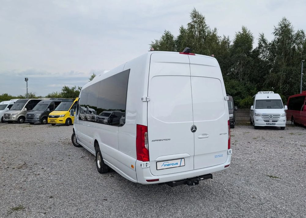 חָדָשׁ מיניבוס, כלי רכב מסחרי לנוסעים Mercedes-Benz Sprinter 517: תמונה 7