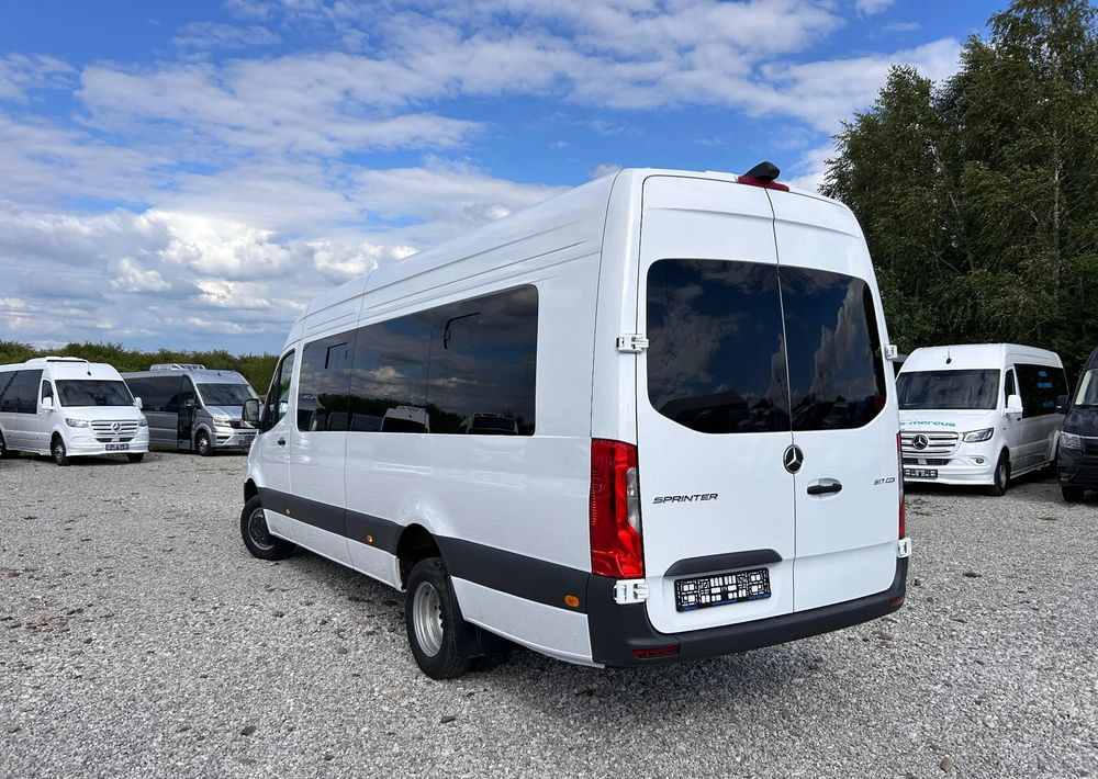 הַחכָּרָה  Mercedes-Benz Sprinter 517 Mercedes-Benz Sprinter 517: תמונה 8