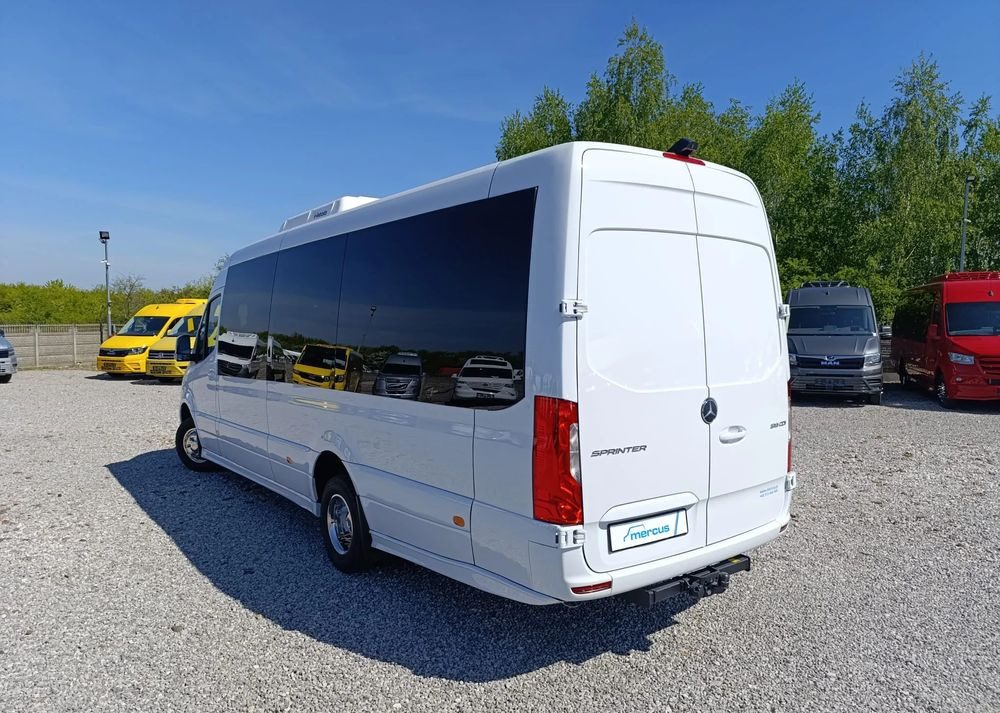 הַחכָּרָה  Mercedes-Benz Sprinter 519 Mercedes-Benz Sprinter 519: תמונה 8