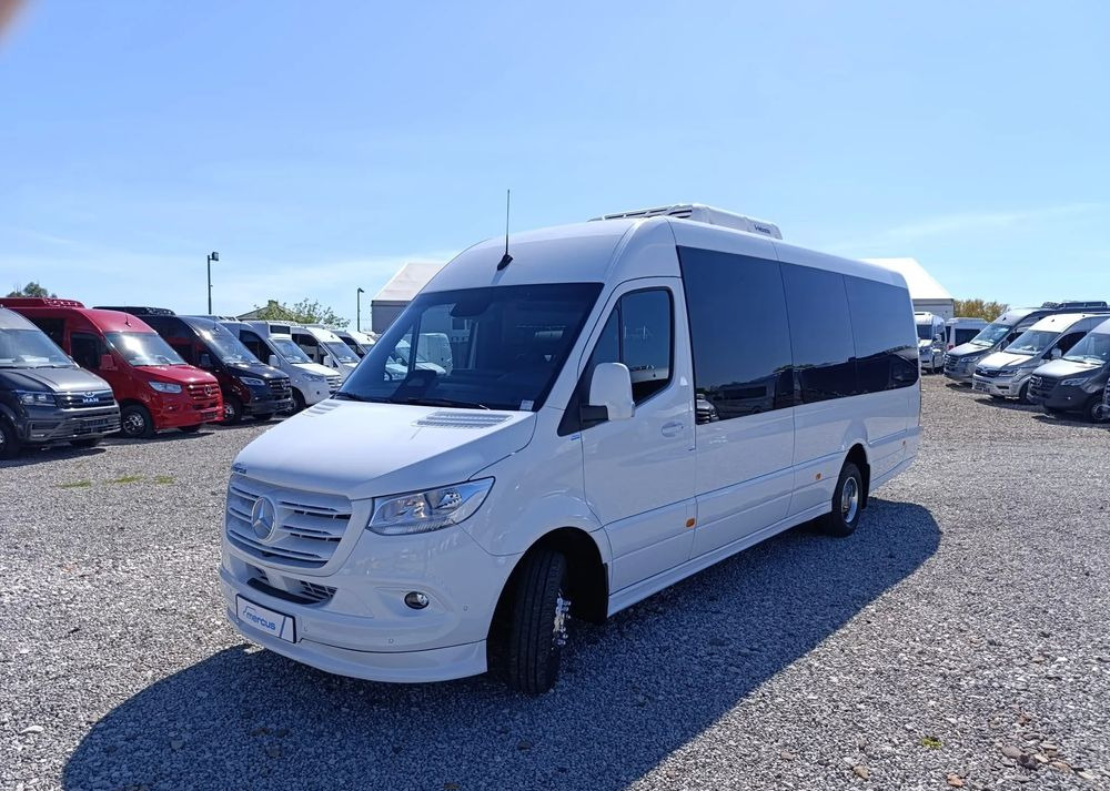 הַחכָּרָה  Mercedes-Benz Sprinter 519 Mercedes-Benz Sprinter 519: תמונה 12