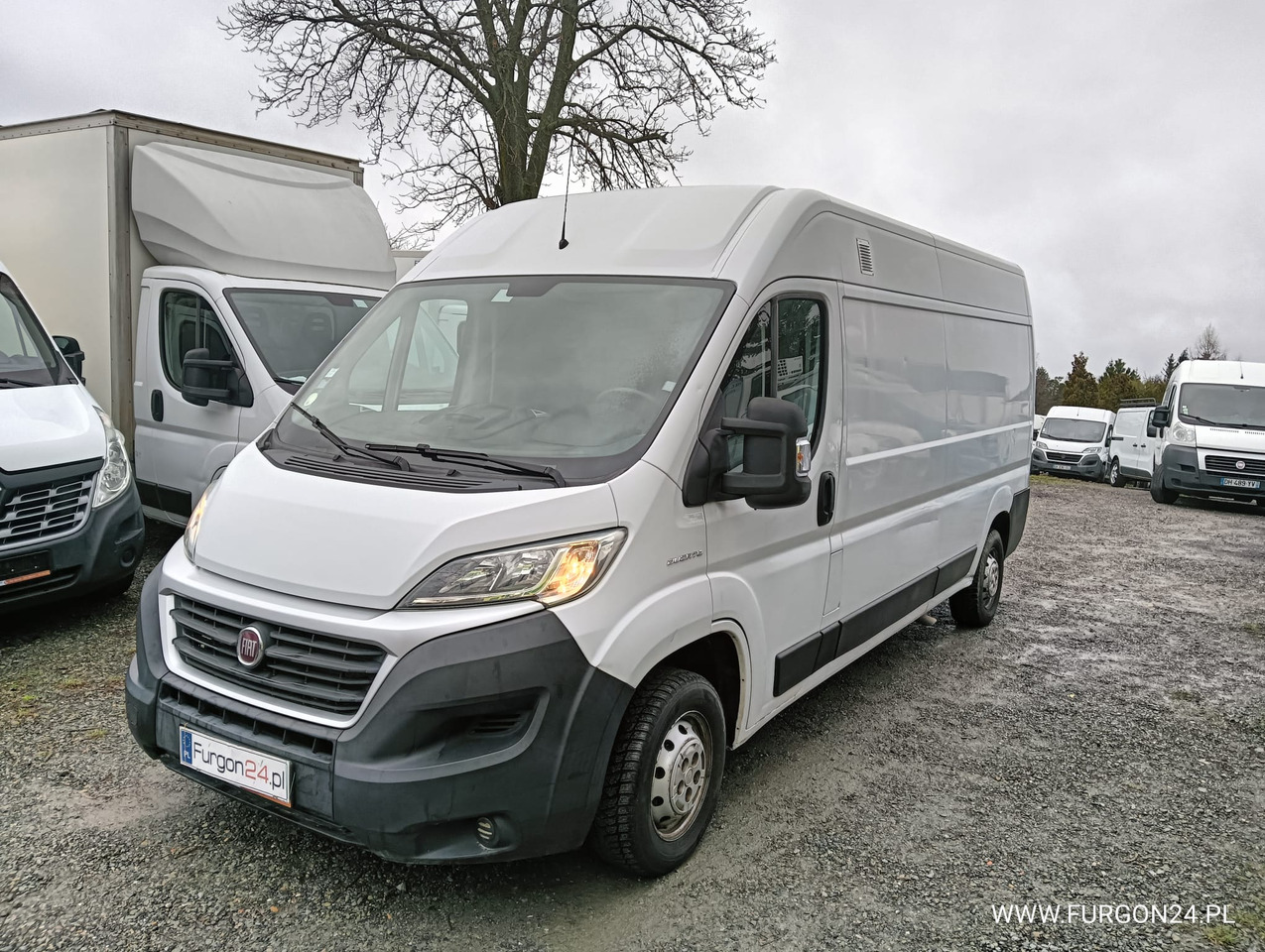 FIAT DUCATO FURGON BLASZAK L3H2 NR 819 - כלי רכב מסחרי קטן: תמונה 1 FIAT DUCATO FURGON BLASZAK L3H2 NR 819 - כלי רכב מסחרי קטן: תמונה 1