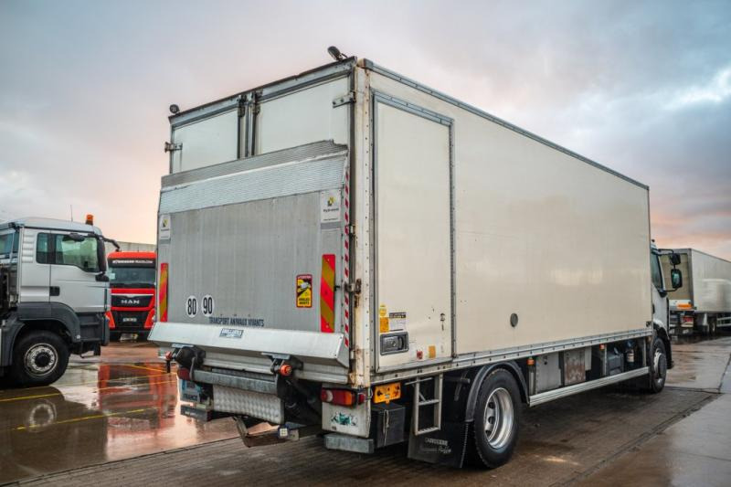 Renault PREMIUM 300DXI+POUSSIN/CHICKEN/KUIKEN/KÛKEN+DHOLLANDIA - משאית תיבה: תמונה 3 Renault PREMIUM 300DXI+POUSSIN/CHICKEN/KUIKEN/KÛKEN+DHOLLANDIA - משאית תיבה: תמונה 3