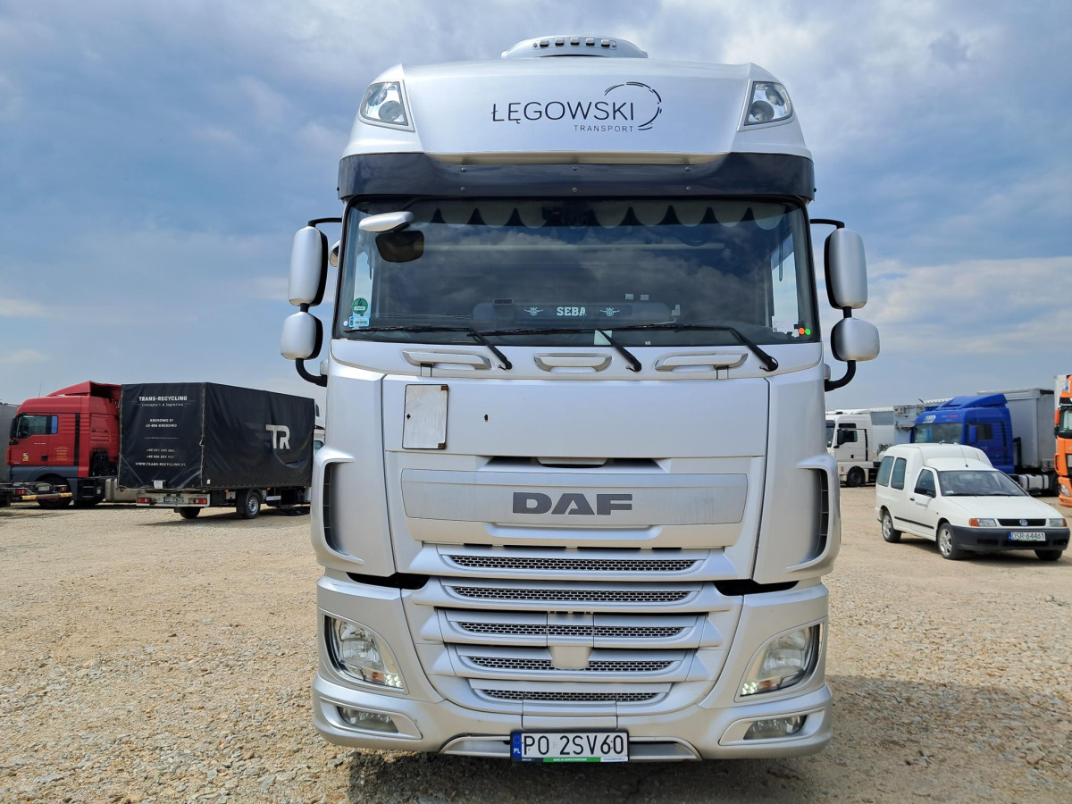 DAF XF 510 CIĄGNIK SIODŁOWY - יחידת טרקטור: תמונה 3 DAF XF 510 CIĄGNIK SIODŁOWY - יחידת טרקטור: תמונה 3