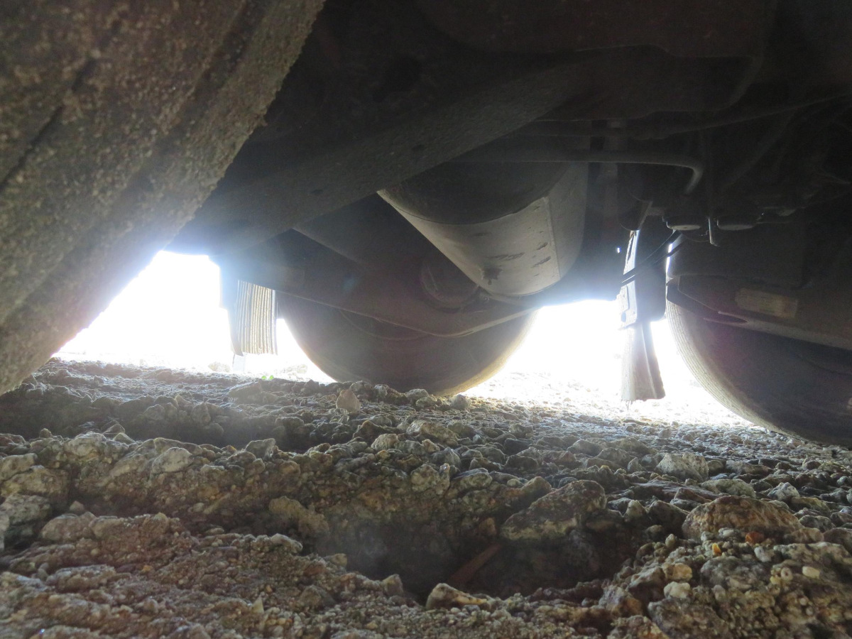 קרון נגרר עם וילונות צד WIELTON NS3K KURTYNOWA: תמונה 17