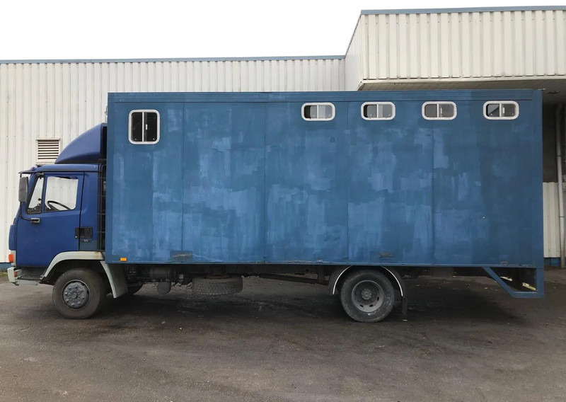 DAF 45 - 150 , Turbo , Horse truck , Spring Suspension - משאית תיבה: תמונה 2 DAF 45 - 150 , Turbo , Horse truck , Spring Suspension - משאית תיבה: תמונה 2