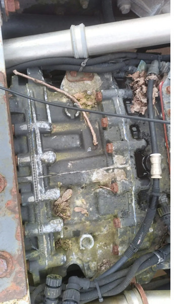 Renault Premium 420 Dci Engine + Automatic Gearbox - מנוע עבור משאית: תמונה 5 Renault Premium 420 Dci Engine + Automatic Gearbox - מנוע עבור משאית: תמונה 5