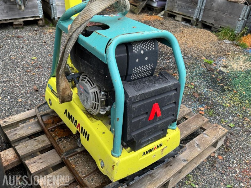 2022 AMMANN APR 40/60 HA vibroplate / 284kg - רולר: תמונה 3 2022 AMMANN APR 40/60 HA vibroplate / 284kg - רולר: תמונה 3