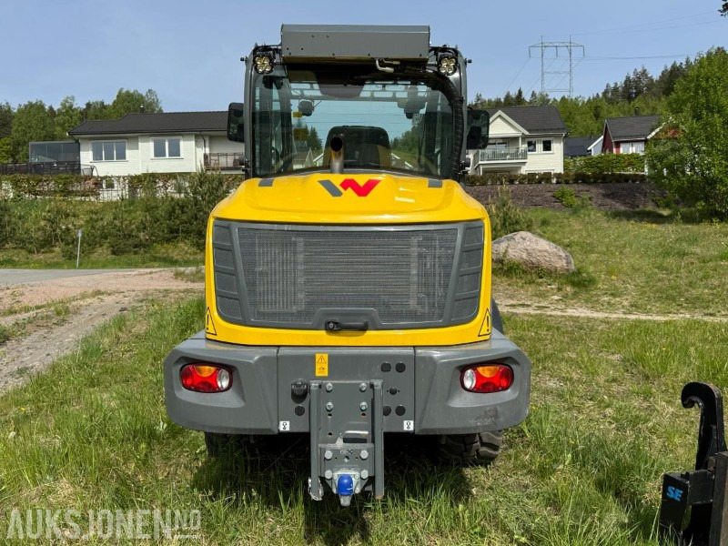 2023 Wacker Neuson WL70 hjullaster / Skuffe / Pallegafler - מעמיס גלגלים: תמונה 5 2023 Wacker Neuson WL70 hjullaster / Skuffe / Pallegafler - מעמיס גלגלים: תמונה 5
