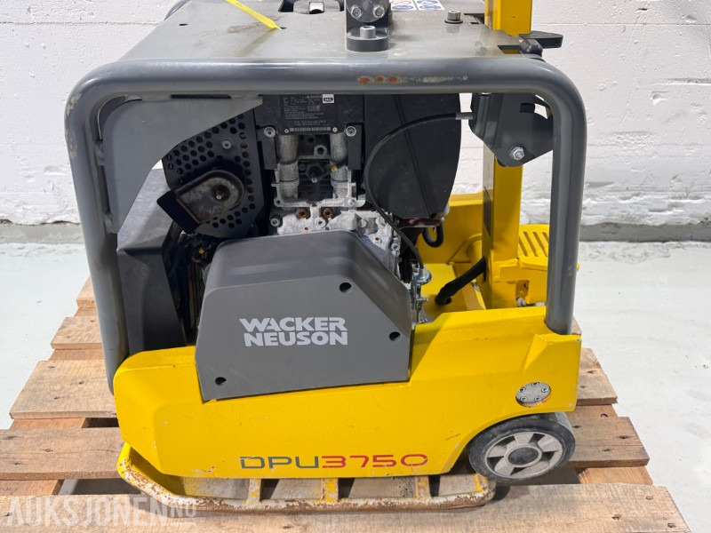 2024 Wacker Neuson DPU3750H – Reverserbar vibroplate for effektiv komprimering - רולר: תמונה 4 2024 Wacker Neuson DPU3750H – Reverserbar vibroplate for effektiv komprimering - רולר: תמונה 4