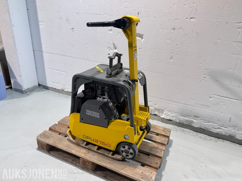 2024 Wacker Neuson DPU3750H – Reverserbar vibroplate for effektiv komprimering - רולר: תמונה 3 2024 Wacker Neuson DPU3750H – Reverserbar vibroplate for effektiv komprimering - רולר: תמונה 3