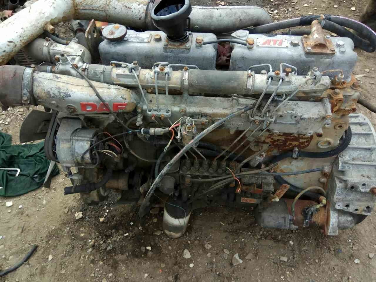 DAF ATI WS259 E2 DAF truck - מנוע עבור משאית: תמונה 1 DAF ATI WS259 E2 DAF truck - מנוע עבור משאית: תמונה 1