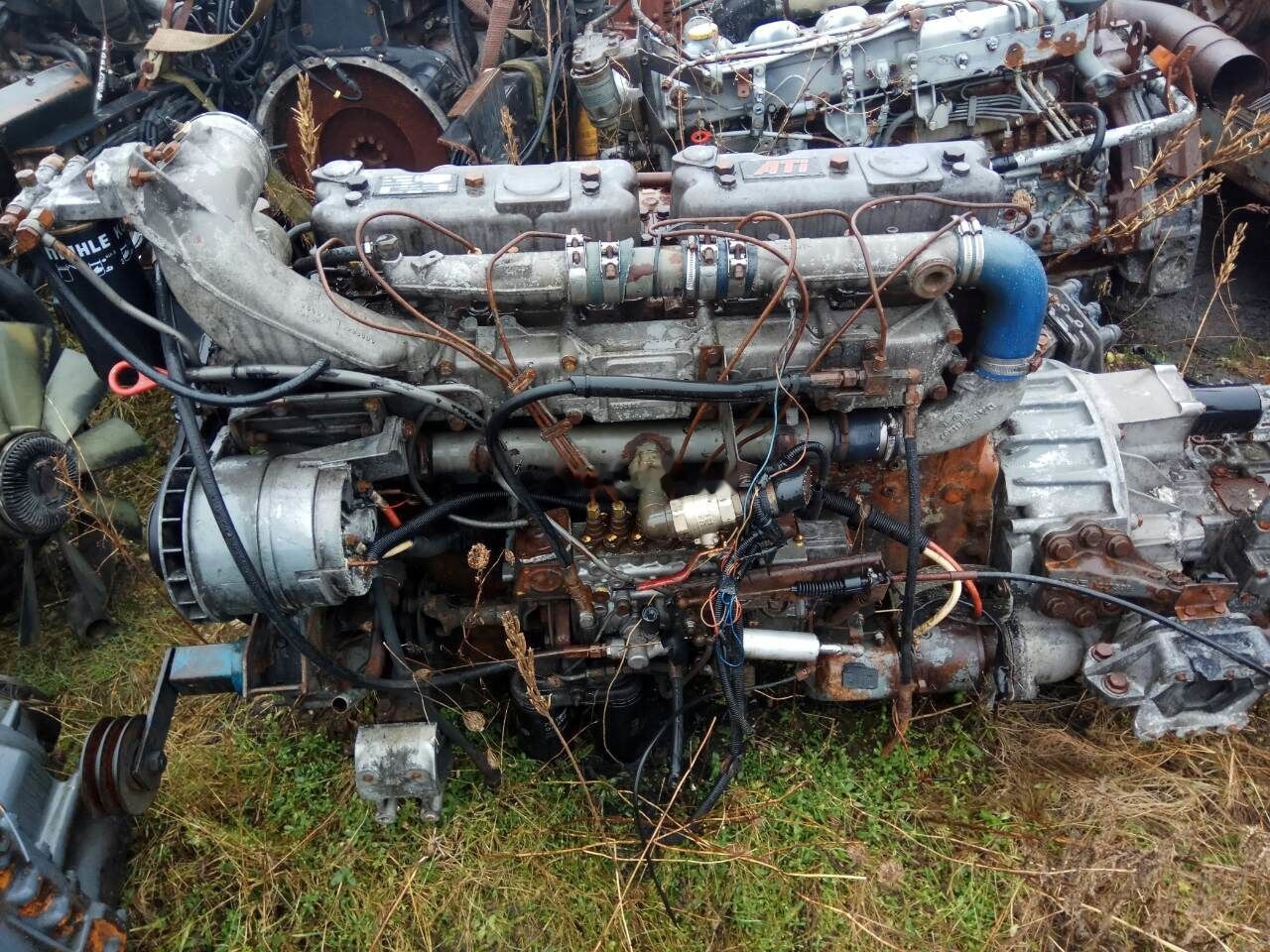 DAF ATI WS315M DAF 95 - מנוע עבור משאית: תמונה 1 DAF ATI WS315M DAF 95 - מנוע עבור משאית: תמונה 1