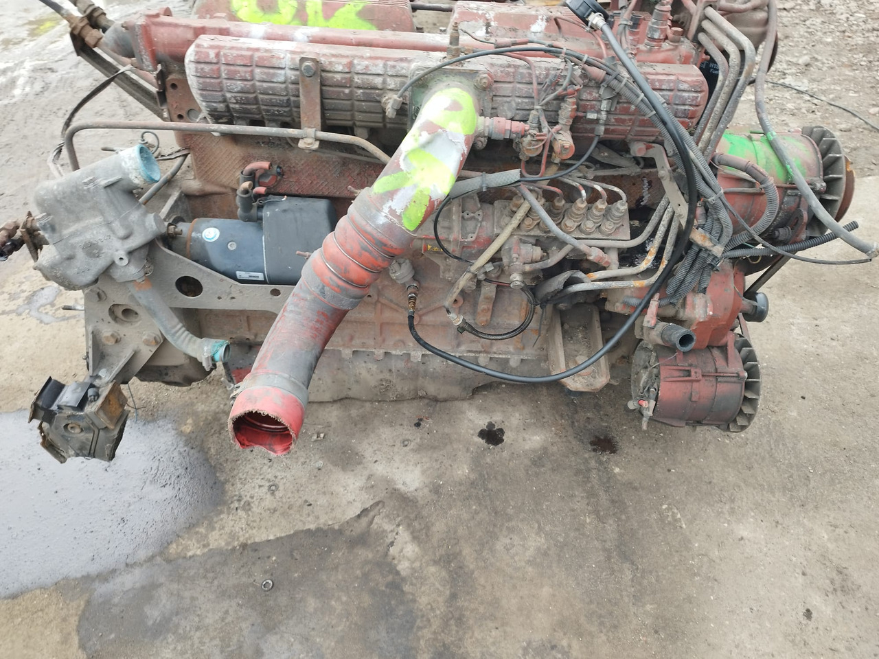 IVECO 8460.41M.70 IVECO MAGIRUS, FIAT, UNIC - מנוע עבור אוטובוס: תמונה 2 IVECO 8460.41M.70 IVECO MAGIRUS, FIAT, UNIC - מנוע עבור אוטובוס: תמונה 2