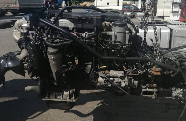 MAN D0836 LFL60 MAN TGM, TGL, L2000, M2000 - מנוע עבור משאית: תמונה 2 MAN D0836 LFL60 MAN TGM, TGL, L2000, M2000 - מנוע עבור משאית: תמונה 2
