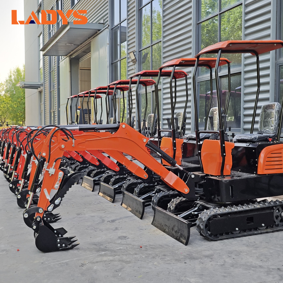 LADYS Mini Excavator CE Certification Kubota Engine(Factory Outlet) Mini Pelle Minibagger Minikoparka Miniexcavadora - מיני מחפר: תמונה 1 LADYS Mini Excavator CE Certification Kubota Engine(Factory Outlet) Mini Pelle Minibagger Minikoparka Miniexcavadora - מיני מחפר: תמונה 1