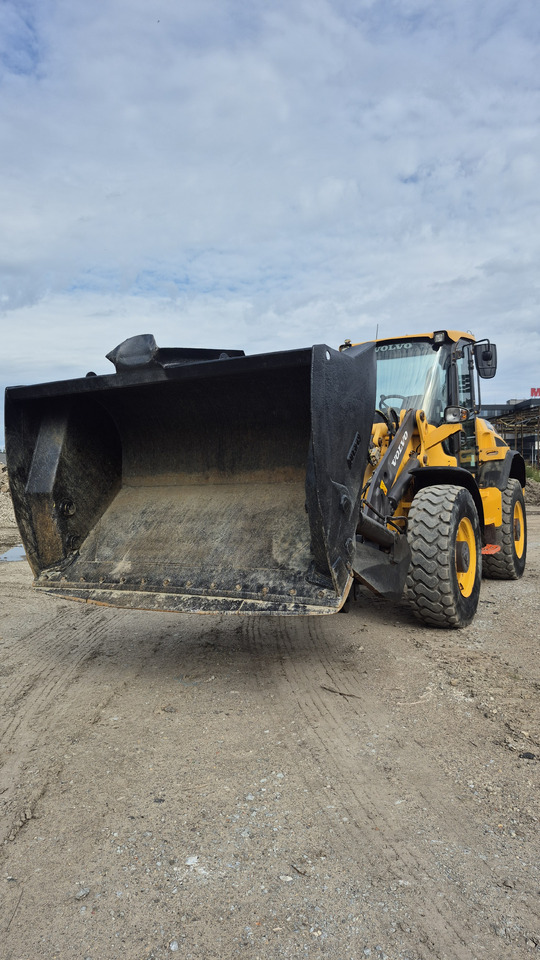 VOLVO L45H - מעמיס גלגלים: תמונה 3 VOLVO L45H - מעמיס גלגלים: תמונה 3