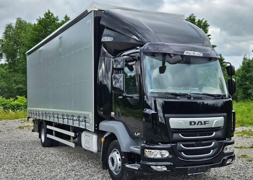DAF LF 290 / WINDA / 16TON DMC / FIRANKA / AUTOMAT / JEDEN WŁAŚCICIE / EURO 6 / 2019 / SPROWADZONY / 20PALET / NISKI PRZEBIEG / DUŻA ŁADOWNOŚĆ / JAK NOWY - משאית וילונות צד: תמונה 3 DAF LF 290 / WINDA / 16TON DMC / FIRANKA / AUTOMAT / JEDEN WŁAŚCICIE / EURO 6 / 2019 / SPROWADZONY / 20PALET / NISKI PRZEBIEG / DUŻA ŁADOWNOŚĆ / JAK NOWY - משאית וילונות צד: תמונה 3