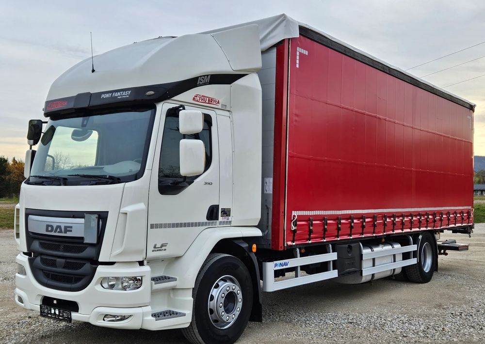 DAF LF 310/WINDA/FIRANKA/NOWE TURBO/NOWE SPRZĘGŁO/EURO 6/SPROWADZONY/20PALET/ŁADOWNOSC 10TON - משאית וילונות צד: תמונה 1 DAF LF 310/WINDA/FIRANKA/NOWE TURBO/NOWE SPRZĘGŁO/EURO 6/SPROWADZONY/20PALET/ŁADOWNOSC 10TON - משאית וילונות צד: תמונה 1