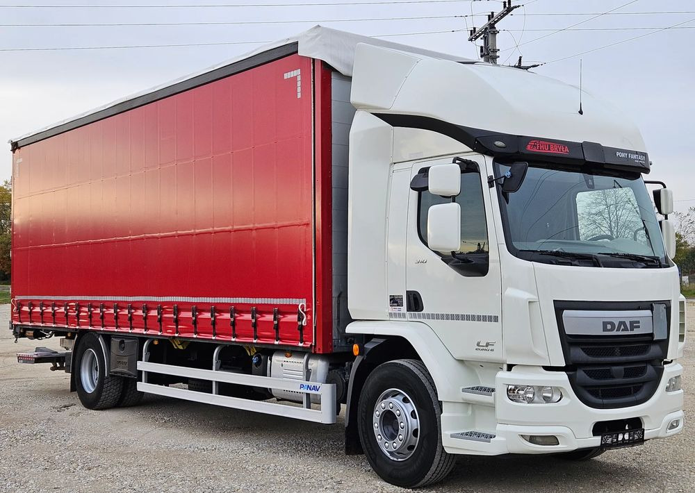 DAF LF 310/WINDA/FIRANKA/NOWE TURBO/NOWE SPRZĘGŁO/EURO 6/SPROWADZONY/20PALET/ŁADOWNOSC 10TON - משאית וילונות צד: תמונה 2 DAF LF 310/WINDA/FIRANKA/NOWE TURBO/NOWE SPRZĘGŁO/EURO 6/SPROWADZONY/20PALET/ŁADOWNOSC 10TON - משאית וילונות צד: תמונה 2