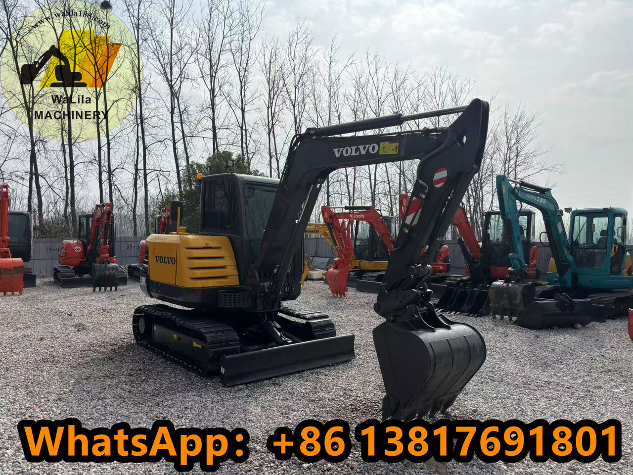 VOLVO EC60 - מיני מחפר: תמונה 2 VOLVO EC60 - מיני מחפר: תמונה 2