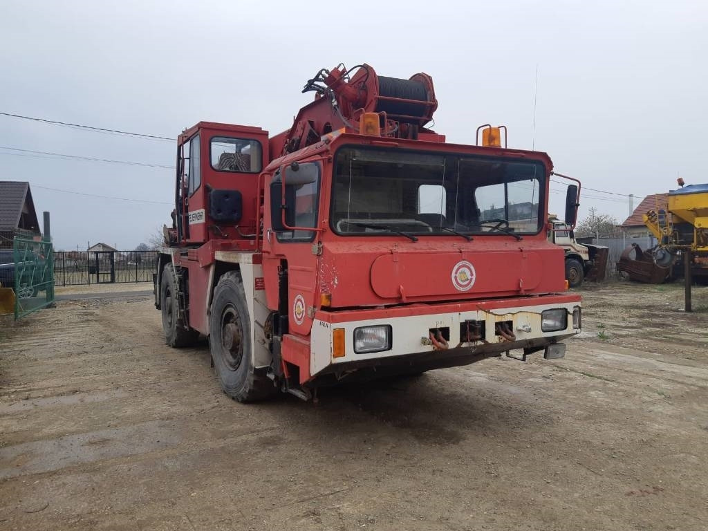 Faun RTF30 - עגורן לכל שטח: תמונה 2 Faun RTF30 - עגורן לכל שטח: תמונה 2
