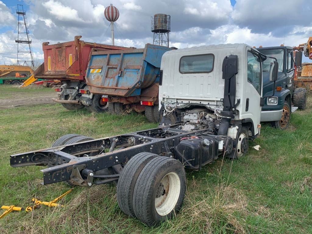 Isuzu FOR PARTS - משאית עם שלדת תא: תמונה 5 Isuzu FOR PARTS - משאית עם שלדת תא: תמונה 5