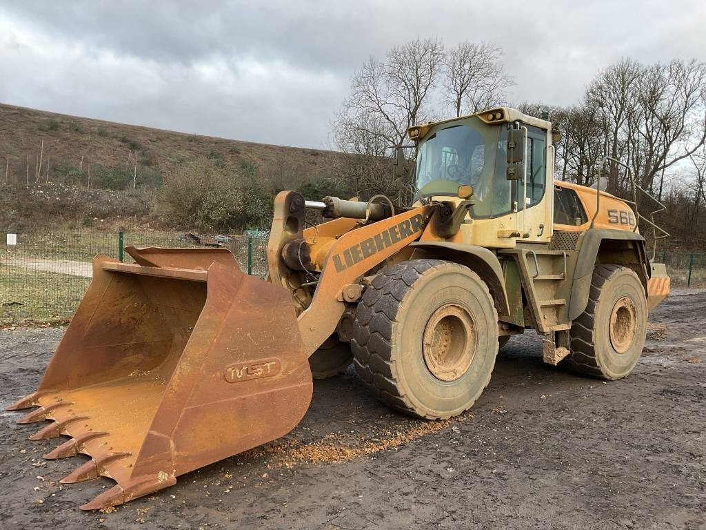 Liebherr L 566 - מעמיס גלגלים: תמונה 1 Liebherr L 566 - מעמיס גלגלים: תמונה 1